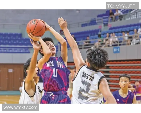 深圳篮球队在篮球战术排行榜中荣登第十名展现出强大实力与潜力